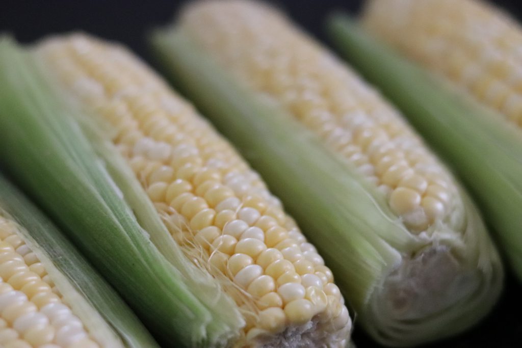 corn with husks